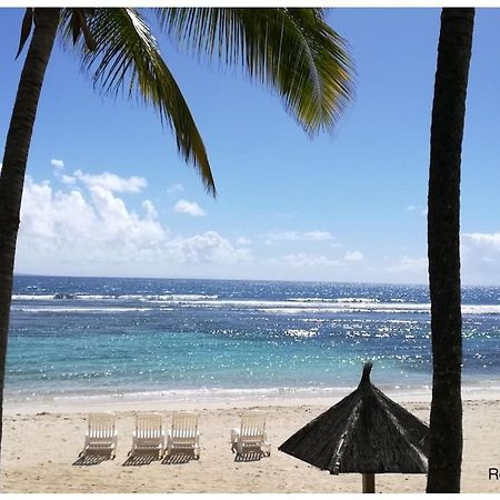 Studio Village Vacances,Vue Mer, Plage A 30M ,Wifi A Sainte Anne Exterior photo