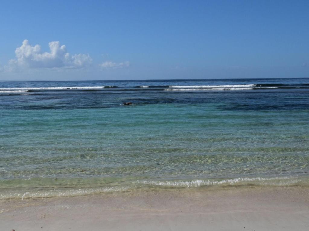 Studio Village Vacances,Vue Mer, Plage A 30M ,Wifi A Sainte Anne Exterior photo