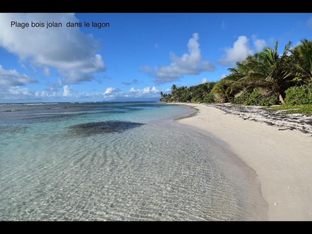 Studio Village Vacances,Vue Mer, Plage A 30M ,Wifi A Sainte Anne Exterior photo