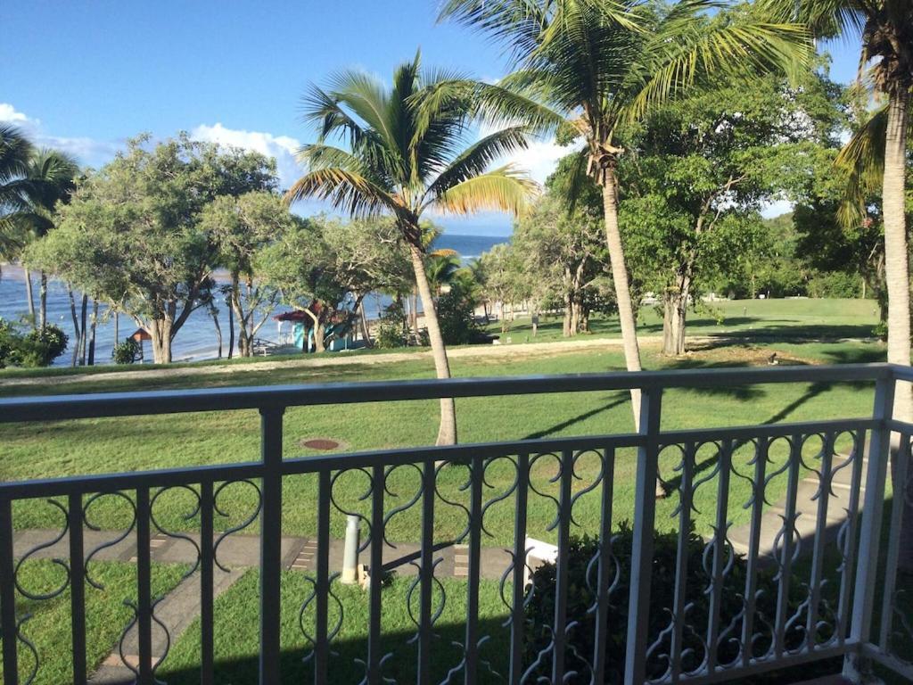 Studio Village Vacances,Vue Mer, Plage A 30M ,Wifi A Sainte Anne Exterior photo